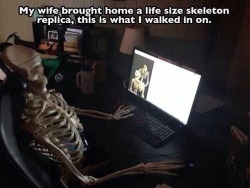 easilyhumored:  moocowmilk:  Here we see a veteran of the skeleton