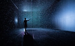 stridersan:  The Rain Room is a 100 square metre field of falling