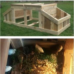 My very talented friend built me a quail coop! I drove out to