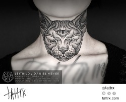 tattrx:  Sphynx Cat submission by leitbild / Daniel Meyer