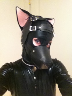 ekhofox:  Leather fox pup is happy in her body suit!  