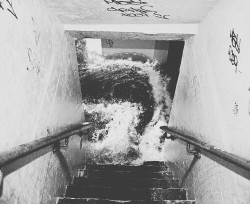 aconitum-anthora:  [drown] 