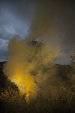 champagnepapucho:  Smoke Signal, 2010.Amelia Bauer