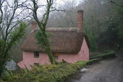 pagewoman:Fairytale cottage by Moggins on Flickr