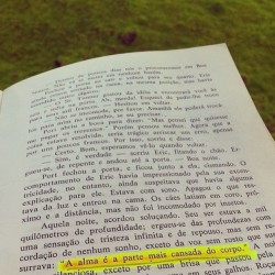 Grifei num Livro