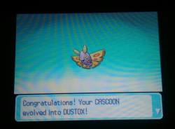 Stupid, sexy shiny Dustox!