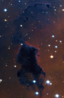 thedemon-hauntedworld:  NGC 281 - Bok Globule NGC 281 is an H