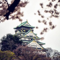 minuga-hana:Osaka castle from the Nishinomaru garden by   Pranav