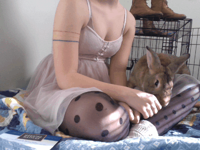 princess-peachie:  buglike-empress:  i get to go back to icarus today!  Flemish giants are such sweeties <3 