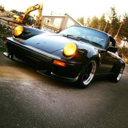 Fat 911 & Co