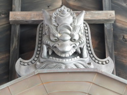 brown-in-town:Archway tile, Ryoan-ji temple, Kyoto, Japan.