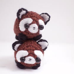 mohustore:  Here’s a pair of red pandas. 