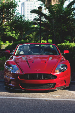 miamivibe:  Red DBS