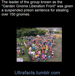 ultrafacts:    Garden gnome liberationists are individuals and