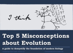 jtotheizzoe:  molecularlifesciences:  Top 5 misconceptions about
