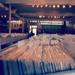 zapdoll:  Stopped in at an amazing record store in Grand Rapids.