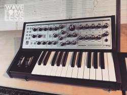 waveformless:  Available now at Waveformless. Moog Sub Phatty