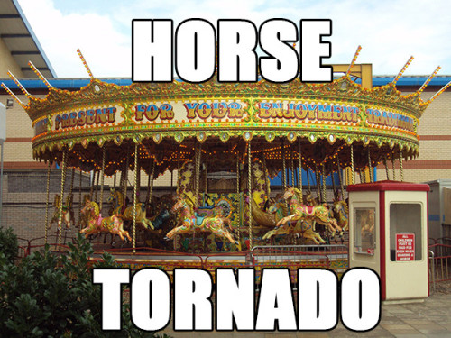 princeofbadassery:  hasebe-yutaka:  petrichoriousparalian:  goldenheartedrose:  This is what happens for real when I can’t find the right words.  Horse Tornado is the only phrase I will use from now on  Roll of inches though  In german snail houses