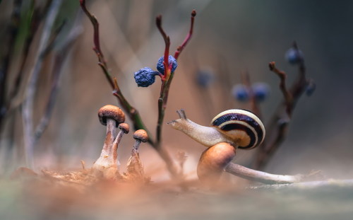 sweetd3lights:    All rights reserved by Вячеслав Мищенко