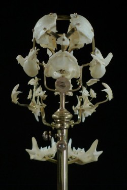 whats-this-whats-this:  Rear Exploded view of a skull 