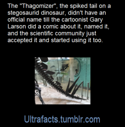 beetle-guy: ultrafacts:  Source: [x] Click HERE for more facts!