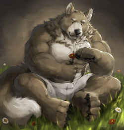 ralphthefeline:A silly wolf is picking petals off of a flower