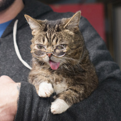 bublog:  We all know that BUB is equal parts science and magic.