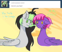 askbreejetpaw:  ask-candybrush:  Wh-What is it with you ponies