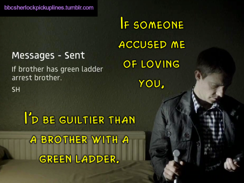 â€œIf someone accused me of loving you, Iâ€™d be guiltier than a brother with a green ladder.â€