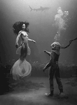 brallanq:  Man meets Mermaid,,, 
