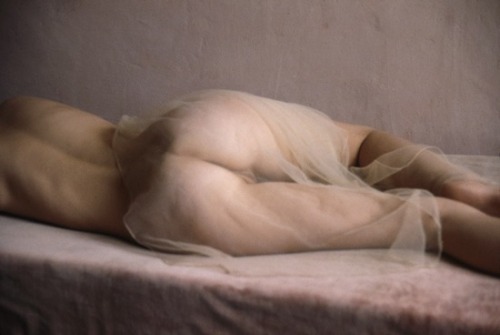 partialboner:  David Hamilton 