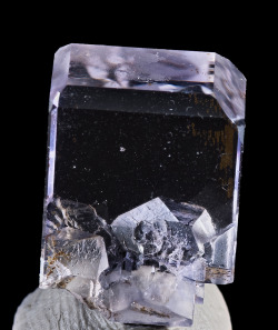 themineralogist:  A transparent fluorite crystal with a very