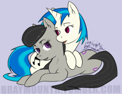 braysafe:  : Best horse couple.  October 8th, 2013  <3