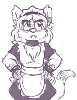 maid ferret