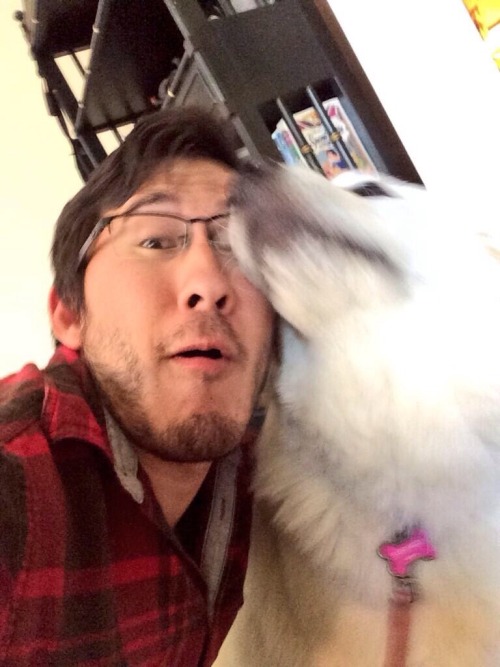 spvro:  Markiplier ft. Dogs: A Masterpost 