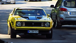 JUST THE COOLEST MUSTANGS