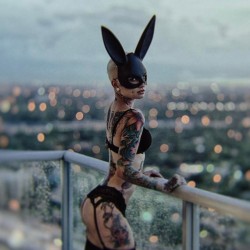 mikeohrangutang:  A day for bunnies @officialvanyvicious by an