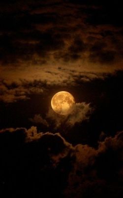 benrogerswpg:Moon via Ben Rogers Meet me in that wonderful dream…..