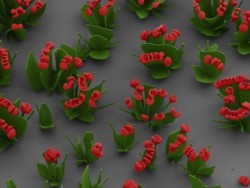 sixpenceee:Harvard Scientist Grows Microscopic FlowersInside