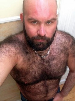 hairytreasurechests:  If you also like hairy and older men who