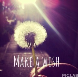 wishes | via Tumblr en We Heart It. https://weheartit.com/entry/76877160/via/fruzsi_na