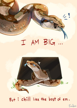 fionahsieh:  boa constrictors chill all the time 