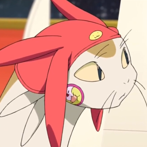 sergeantsargemcfly:  most of my harddrive is just meow screencaps tbh