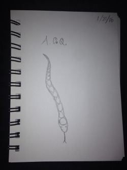 I drew fan art of your snake.thank u i lov this snek <333333