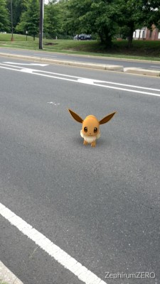 agentis-zephirum:  “Ah sweet!  It’s another Eev–EEVEE,