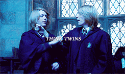  harry potter character tropes ; fred & george weasley 