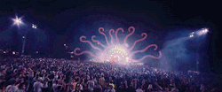 The EDM Scene