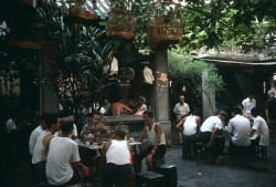 dolm:  China. Guangzhou. 1982. People listening to birds. Many