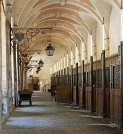fkuribrena:  Welcome to the stables! 