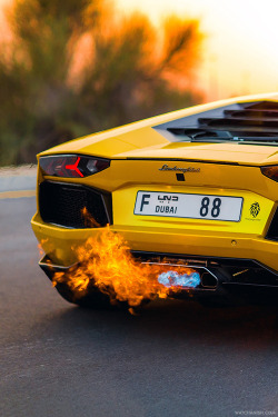 watchanish:  Alyaquob88’s Lamborghini Aventador spitting